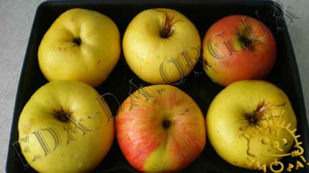 Кулинарный мастер класс - Яблочный крем со сливками, шаг 1