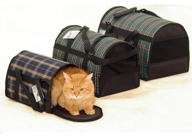 Переноски для котів: як обрати безпечний і зручний варіант для вашого улюбленця