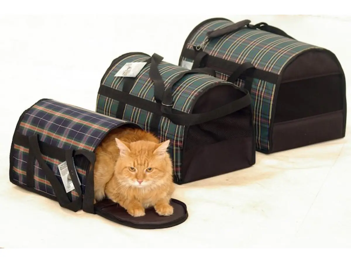 Переноски для котів: як обрати безпечний і зручний варіант для вашого улюбленця