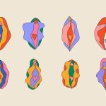 Жіноча анатомія: будова, особливості та турбота про здоров’я