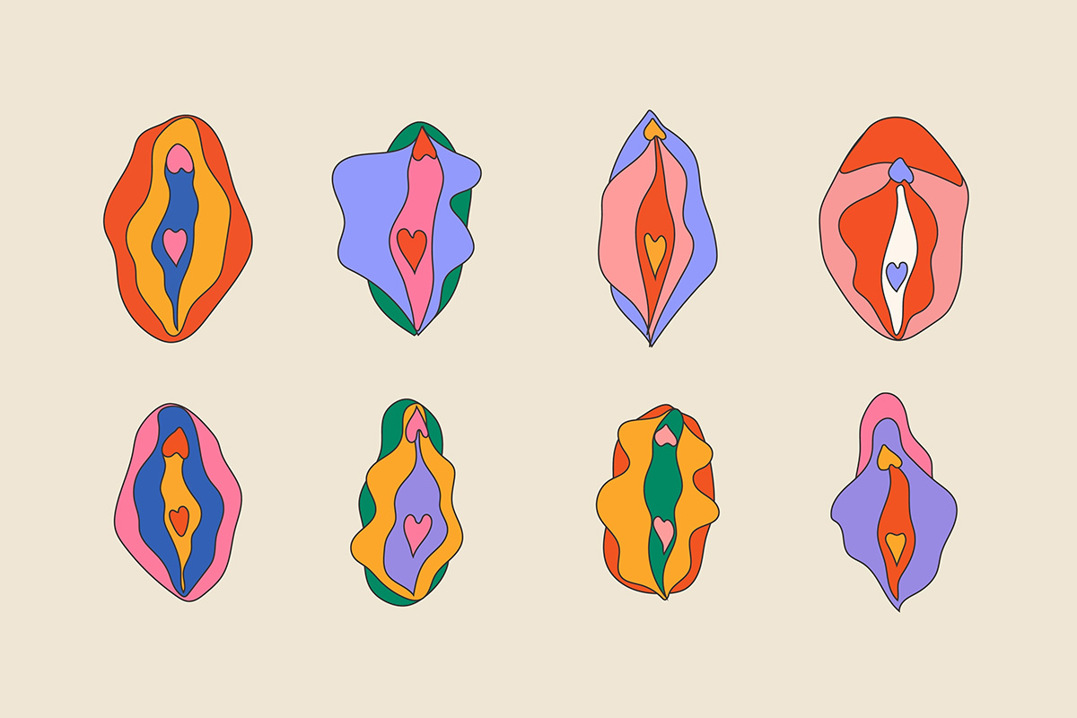 Жіноча анатомія: будова, особливості та турбота про здоров’я