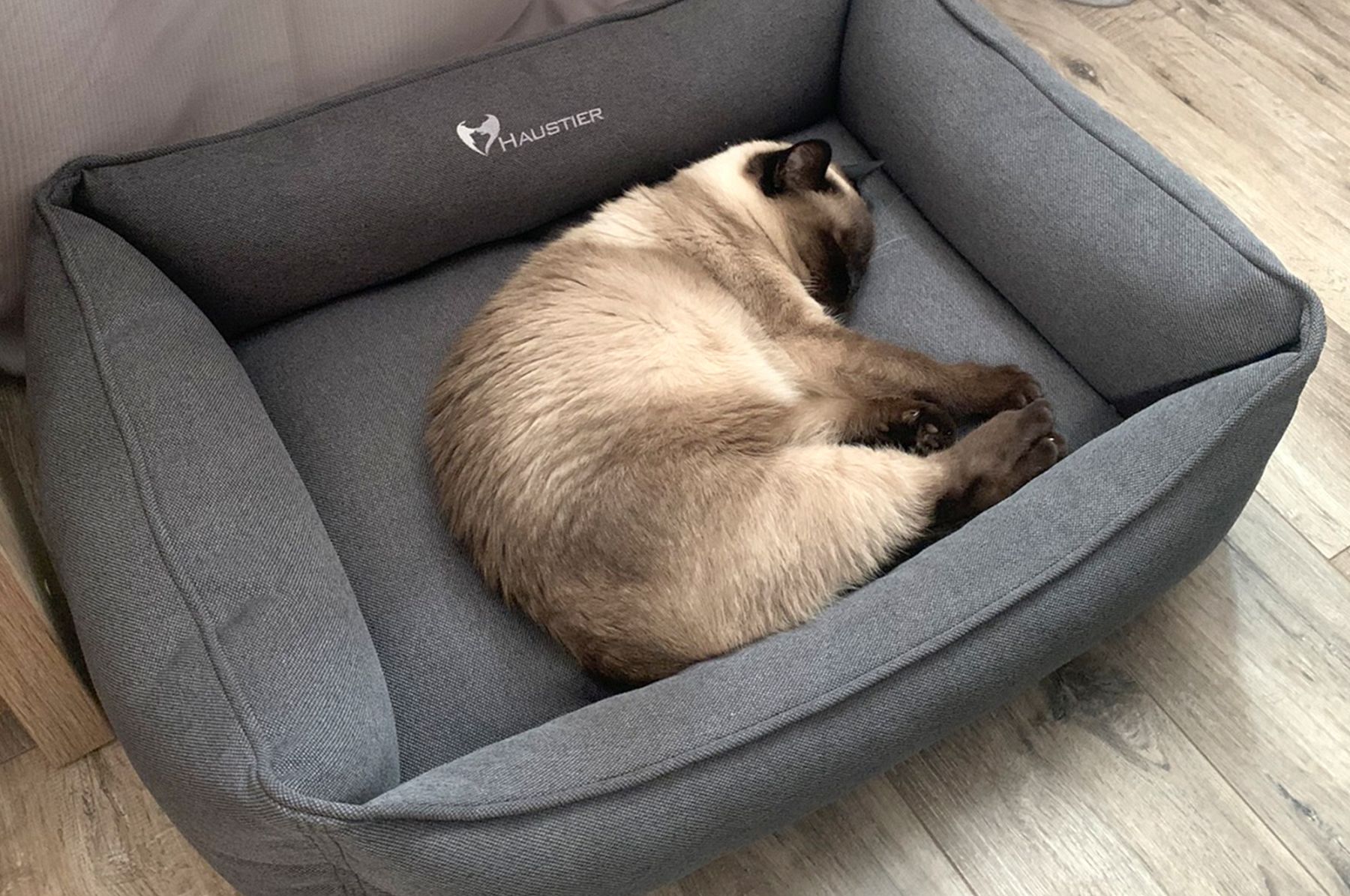 Ліжечко для котика: як вибрати найзручніше місце для сну, щоб тварина почувалася у безпеці та комфорті