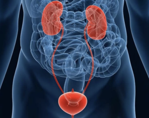 Уретрит: симптомы, причины, лечение и профилактика