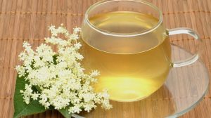 Квас из бузины: рецепт, польза и как приготовить натуральный напиток